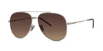 16F - Metal Shiny Silver with Brown Normal lenses / 
