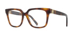 053 - Acetate Shiny Classic Havana / 