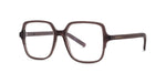 045 - Acetate Shiny Brown with DEMO lenses / 