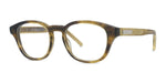062 - Acetate Shiny Havana