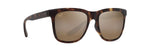 H602-10 - Tokyo Tortoise / HCL® Bronze