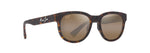 H668-10 - Matte Dark Havana / HCL® Bronze