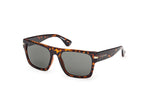 52N - Dark Havana / green