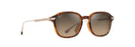 HS625-10 - Shiny Dark Havana with Gold / HCL® Bronze