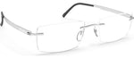 6560 - Pure Ruthenium / 