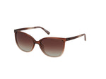 50H - Light Brown/Gradient / gradient brown