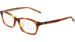 259 - HONEY TORTOISE / 