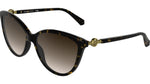 242 - DARK TORTOISE / 