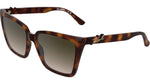 242 - DARK TORTOISE / 