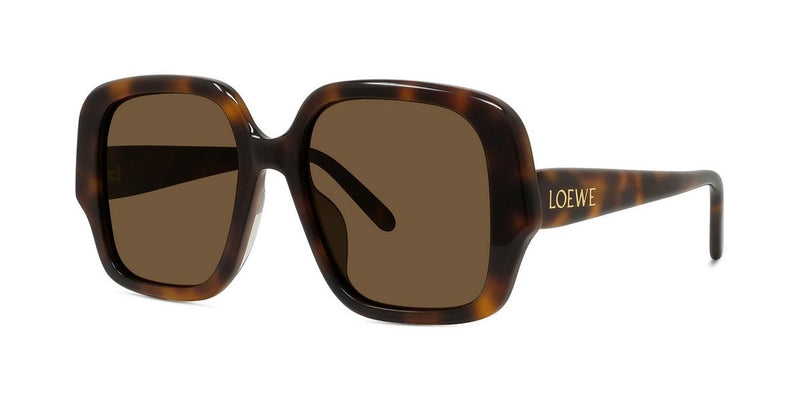 52E - Acetate Shiny Havana with Brown Normal lenses