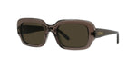 49E - Acetate Shiny Brown with Brown Normal lenses / 