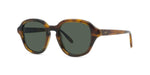 52N - Acetate Shiny Havana with Green Normal lenses / 