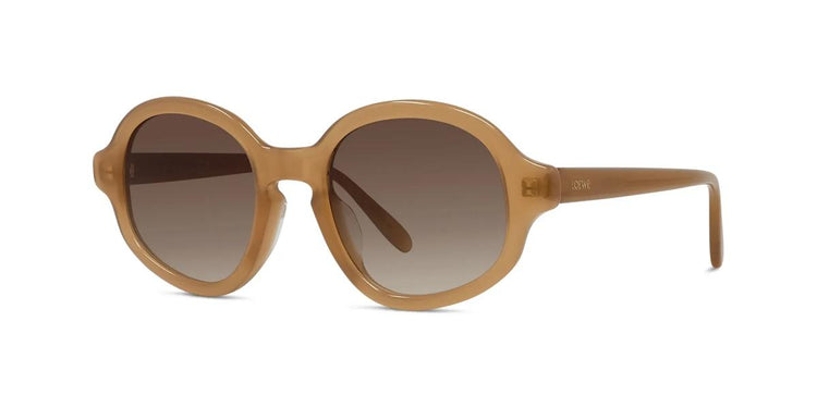 50F - Acetate Shiny Brown with Brown Gradient lenses