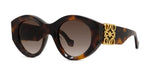 52F - Acetate Shiny Havana with Brown Gradient lenses / 