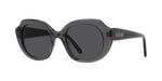 20A - Acetate Shiny Grey with Grey Normal lenses / 