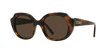 52E - Acetate Shiny Havana with Brown Normal lenses / 