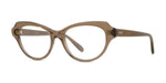 050 - Acetate Shiny Brown / 
