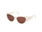 21E - Shiny White / brown