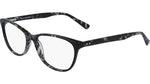 005 - BLACK TORTOISE / 