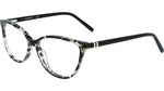 019 - BLACK TORTOISE