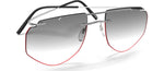 6965 - Grey Taurus - special glazing / 