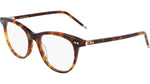 002 - HONEYCOMB TORTOISE / 