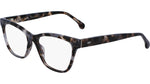 003 - GREY TORTOISE / 