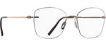 Shiny Rosegold / 