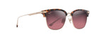 RS629-10A - Shiny Dark Havana with Gold / Maui Rose®