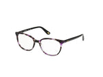 055 - Violet/Havana / 