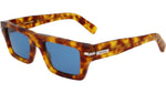 212 - BLONDE TORTOISE / 