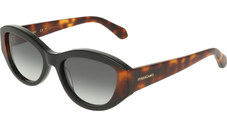 006 - BLACK/TORTOISE