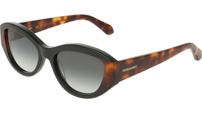 006 - BLACK/TORTOISE