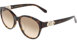 242 - DARK TORTOISE / 