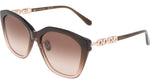 211 - BROWN GRADIENT / 