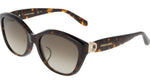 242 - DARK TORTOISE / 