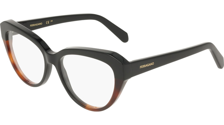 006 - BLACK/TORTOISE