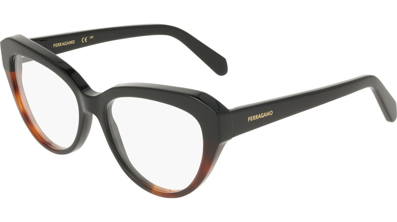 006 - BLACK/TORTOISE
