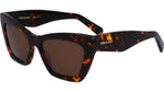 242 - DARK TORTOISE / 