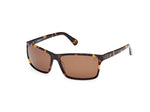 52H - Dark Havana / brown polarized