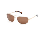32H - Shiny Pale Gold / brown polarized