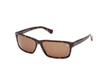 52H - Dark Havana / brown polarized