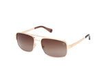 32H - Shiny Pale Gold / brown polarized