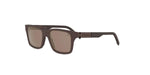 50H - Metal dark brown/other / Brown