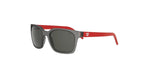20A - Injected Semi Matte Grey with Grey Normal lenses