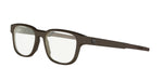 050 - Acetate Shiny Brown