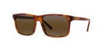 53Q - Acetate Shiny Havana with Skilynx lenses / 