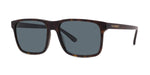 52D - Acetate Shiny Havana with Grey polar lenses / 
