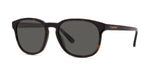52D - Acetate Shiny Havana with Grey polarlynx lenses / 