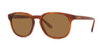 53H - Acetate Shiny Havana with Brown polar lenses / 
